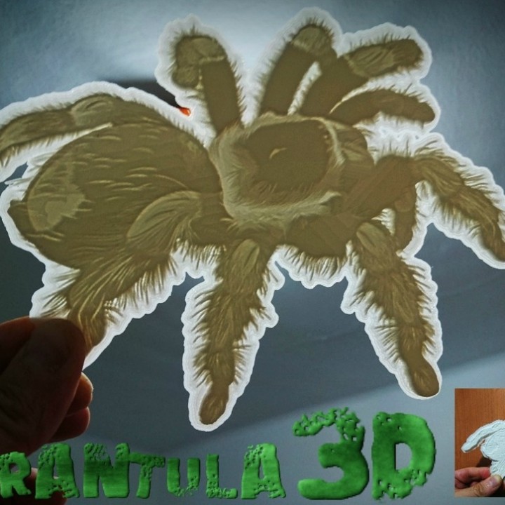 tarantula lithophane image