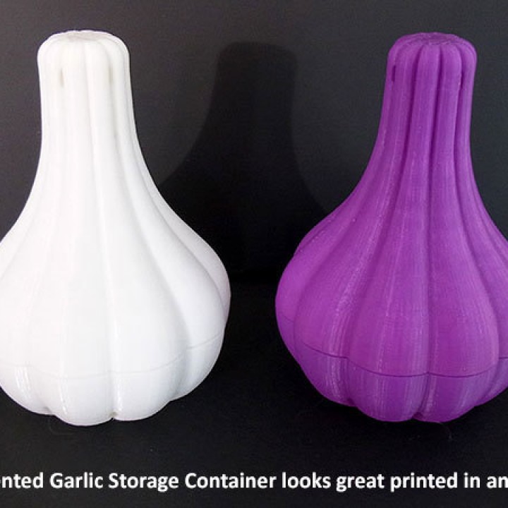 Vented Garlic Storage Container image