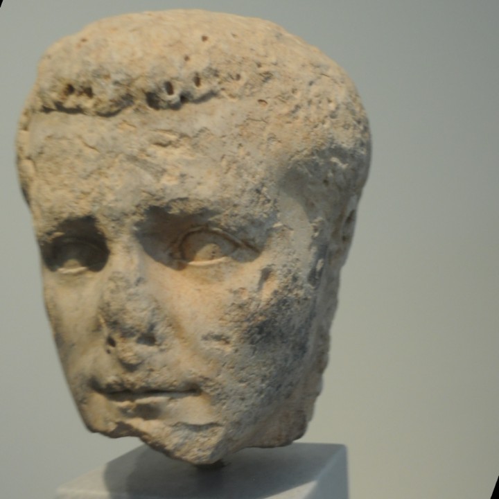 Portrait head of the emperor Caligula image