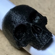 Picture of print of Skull Ring 2017