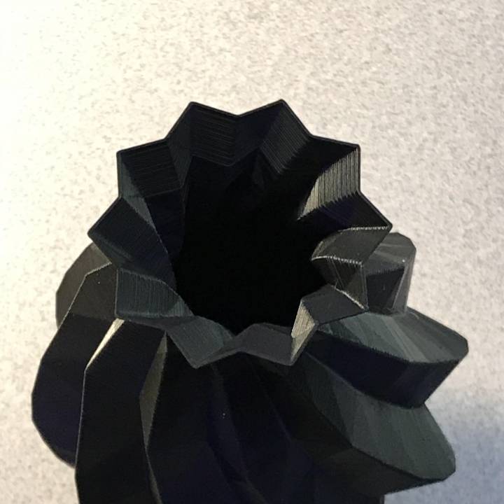 Low poly twisted vase image