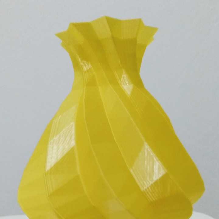 Low poly twisted vase image