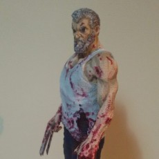 Picture of print of Old man logan