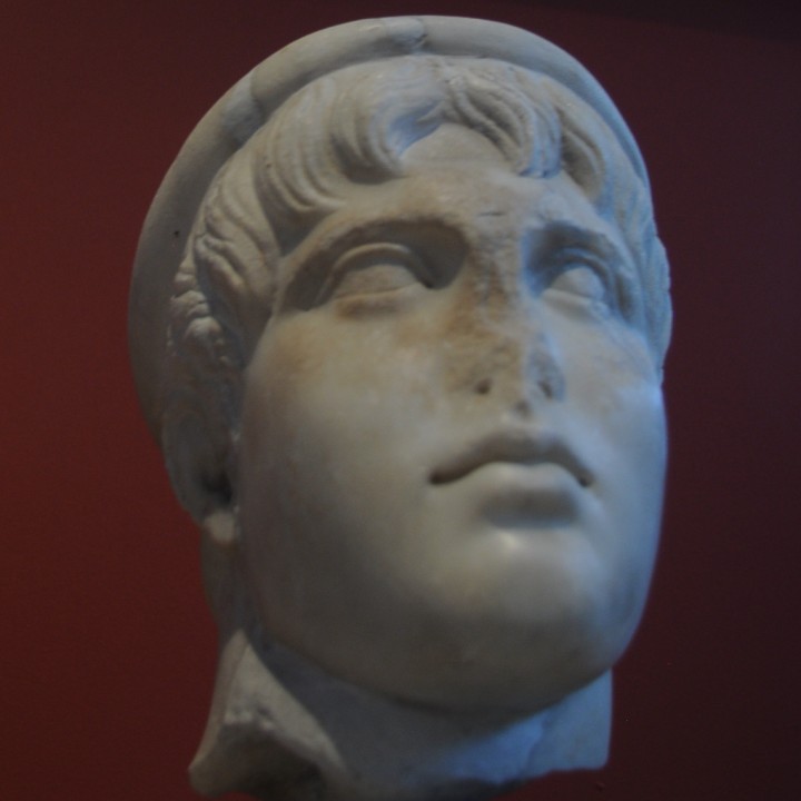 Head of a young man wearing a diadem image