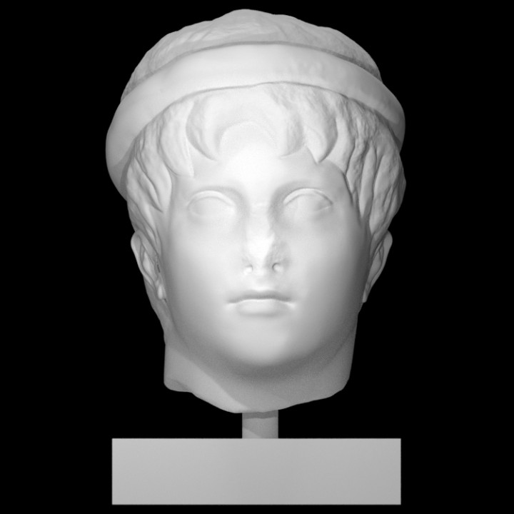 Head of a young man wearing a diadem image