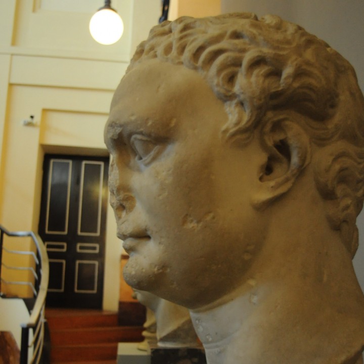 Portrait of Domitian image