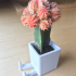 Succulent Planter / 3D printed planter / Legged Planter print image