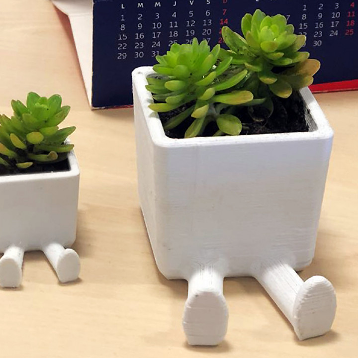 Succulent Planter / 3D printed planter / Legged Planter image