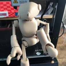 Picture of print of Ankly Robot for FDM