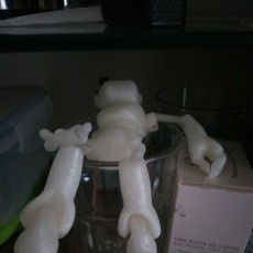 Picture of print of Ankly Robot for FDM