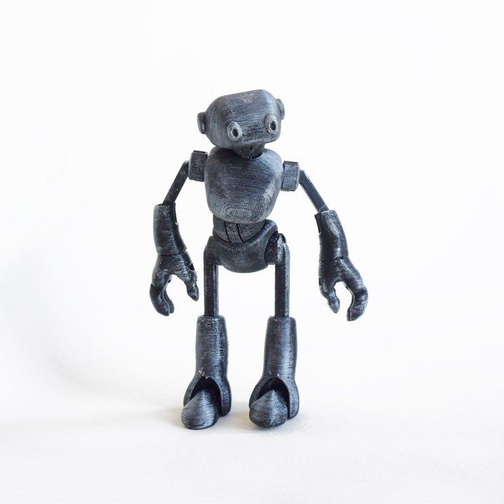Ankly Robot for FDM image