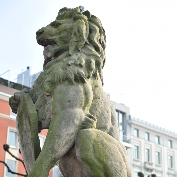 Stone Lion image