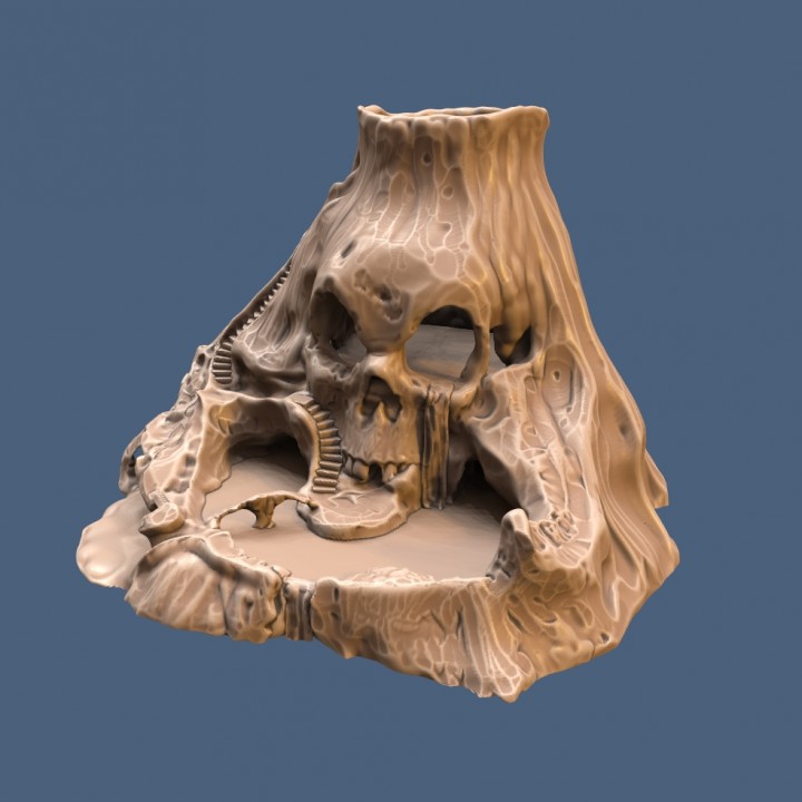 Skull Island image