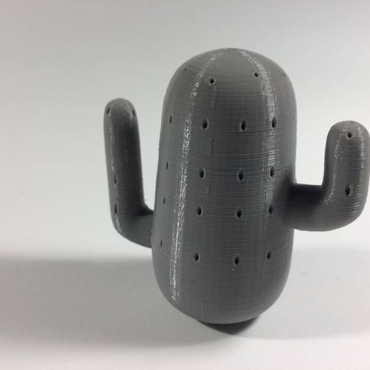 3d Printable 仙人掌牙签盒 By Shaohua Liu