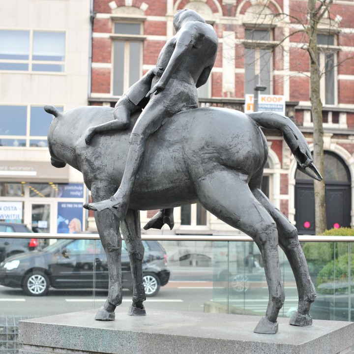 Horse and Rider image