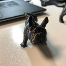 Picture of print of French Bulldog