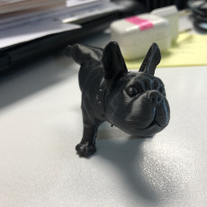 Picture of print of French Bulldog