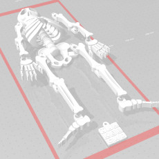 Picture of print of Dancing Skeleton