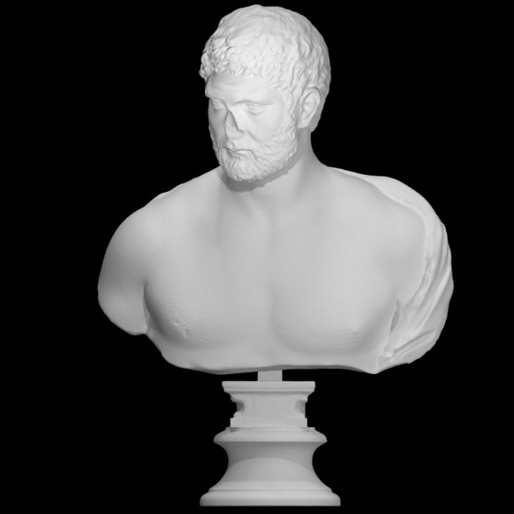 Unknown Bust 3 image