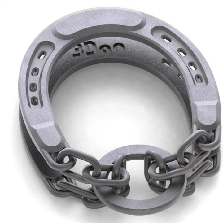 3D Printable Horse Shoe Puzzle by Daniel Brastaviceanu