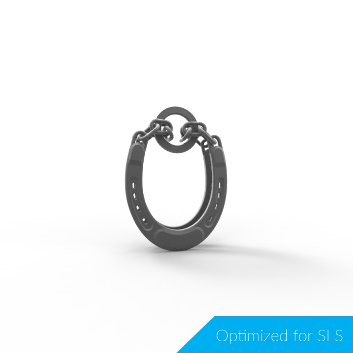 3D Printable Horse Shoe Puzzle by Daniel Brastaviceanu