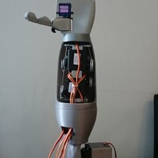 Picture of print of Humanoid Robotic Torso PROTO1