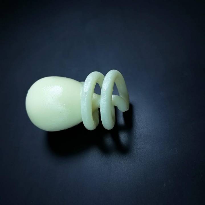 Coiled Klein Bottle image