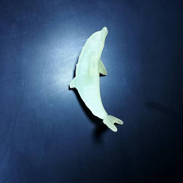 Dolphin Pendant image