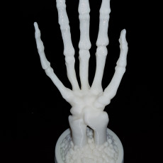 Picture of print of Skeletal Hand stand