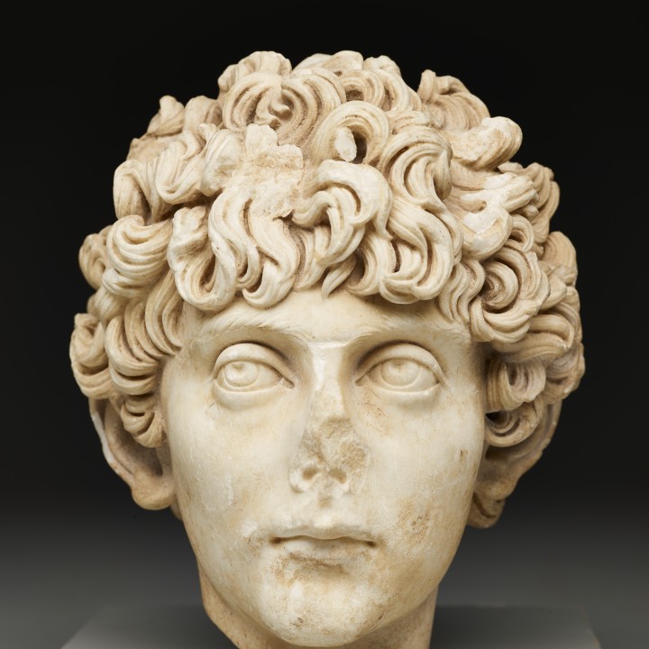 Head of a Roman youth image