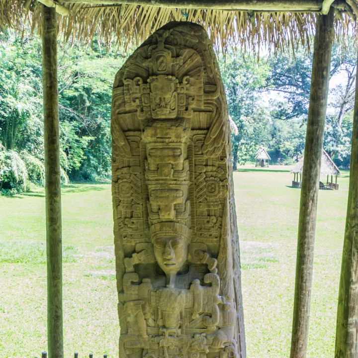 Stela D of Quirigua image