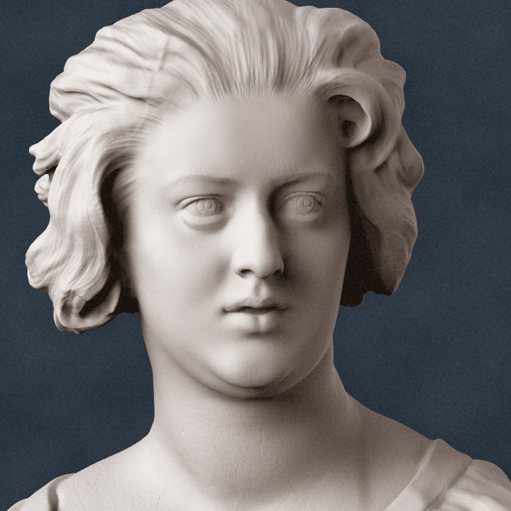 Bust of Costanza Bonarelli image
