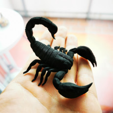 Picture of print of Scorpion 3D Print Model