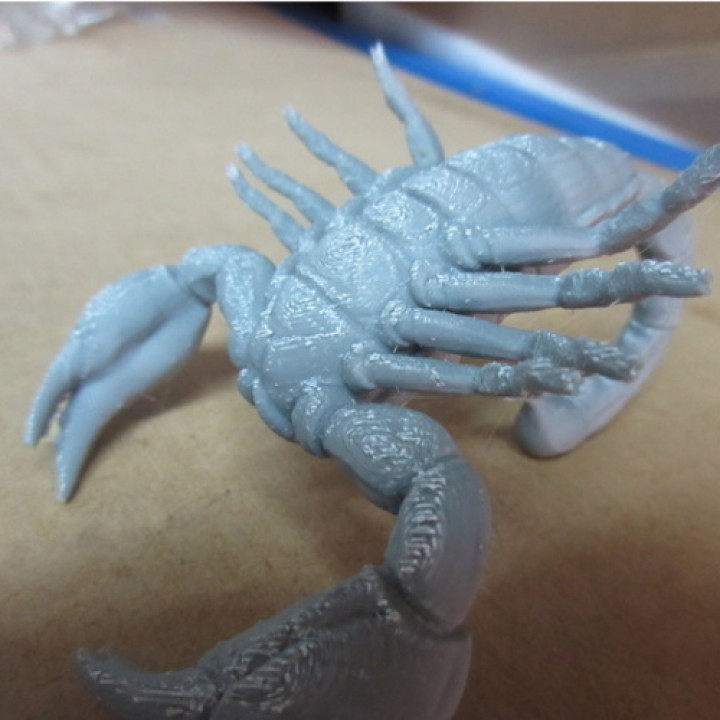 3D Printable Scorpion 3D Print Model by Art of V