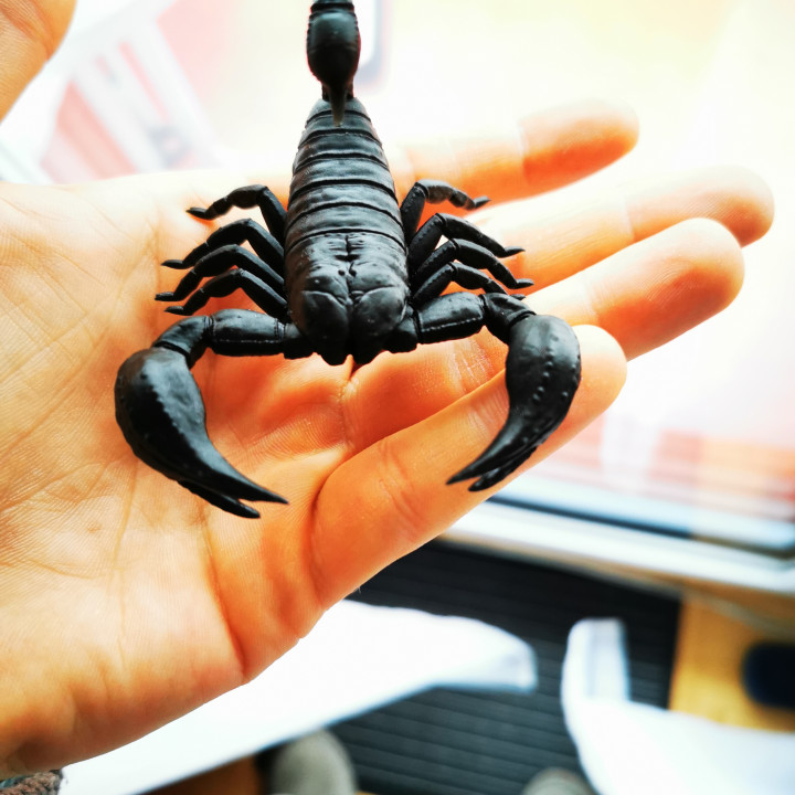 3D Print of Scorpion 3D Print Model by thomasschmidt4