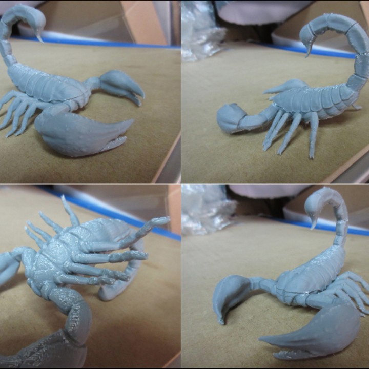 3D Printable Scorpion 3D Print Model by Art of V