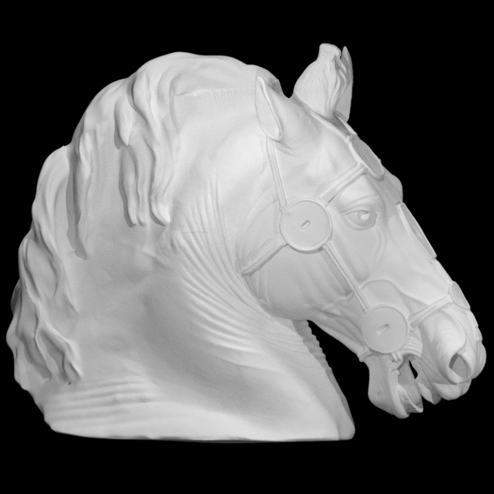 Horse Head from the Equestrian statue of Marcus Aurelius image