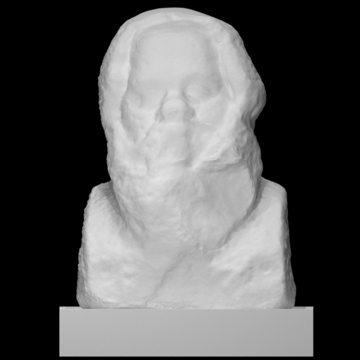 Unfinished bust of Socrates image