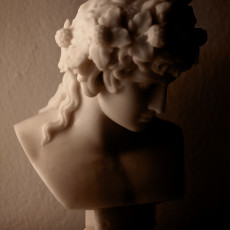 Picture of print of Bust of Antinous as Dionysus