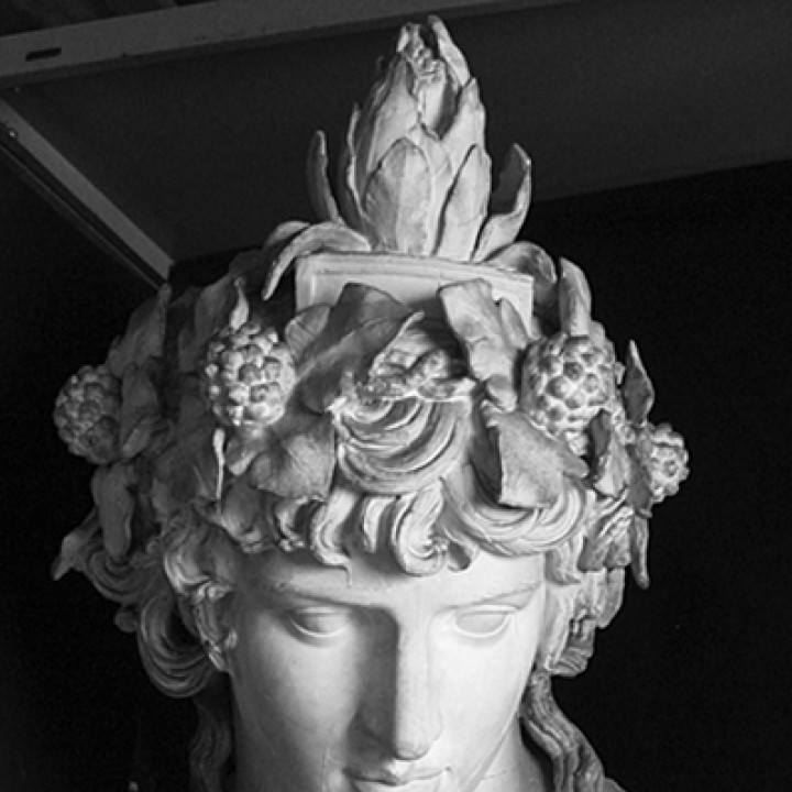 Bust of Antinous as Dionysus image