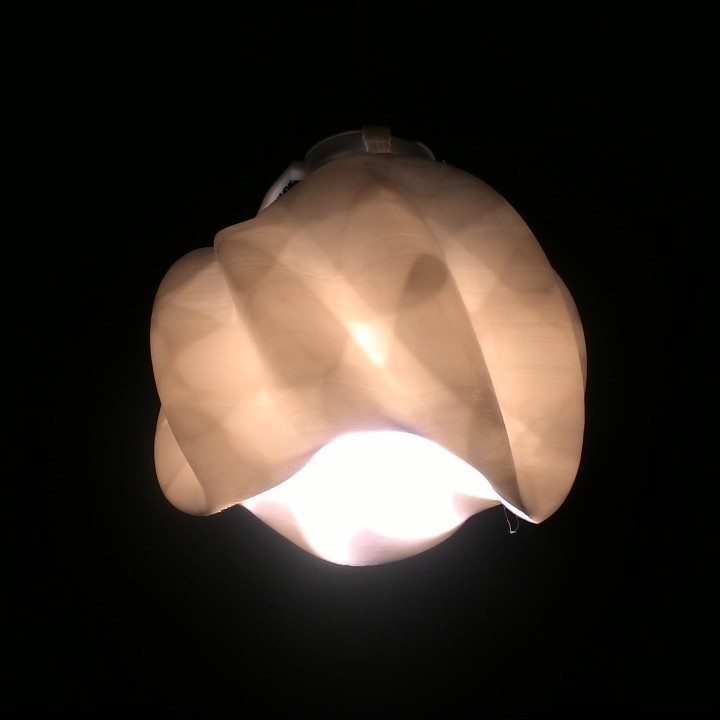 Twisted CosSin Lamp Shade image