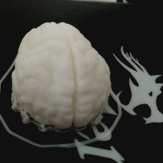 Picture of print of Brain keychain
