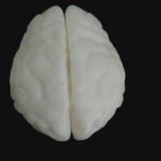 Picture of print of Brain keychain
