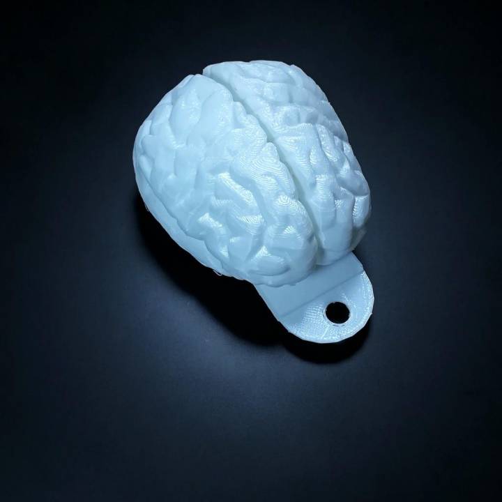 3D Printable Brain keychain by abstract corp