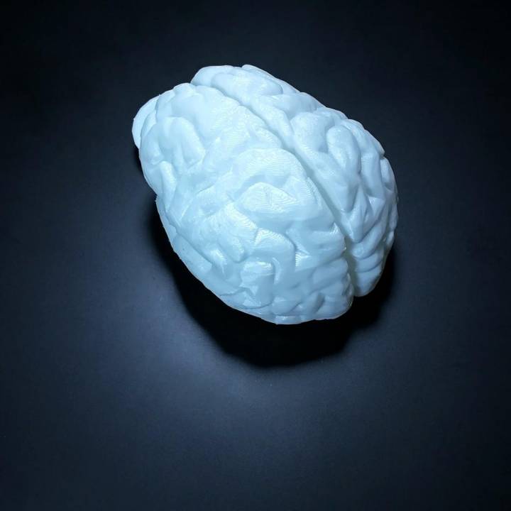Brain keychain image