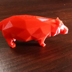Picture of print of Low Poly Hippo
