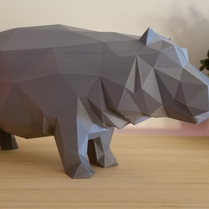 Low Poly Hippo image