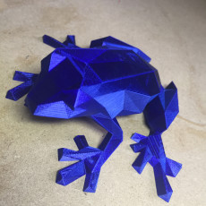 Picture of print of Low Poly Frog
