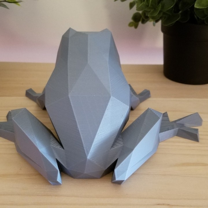 Low Poly Frog image