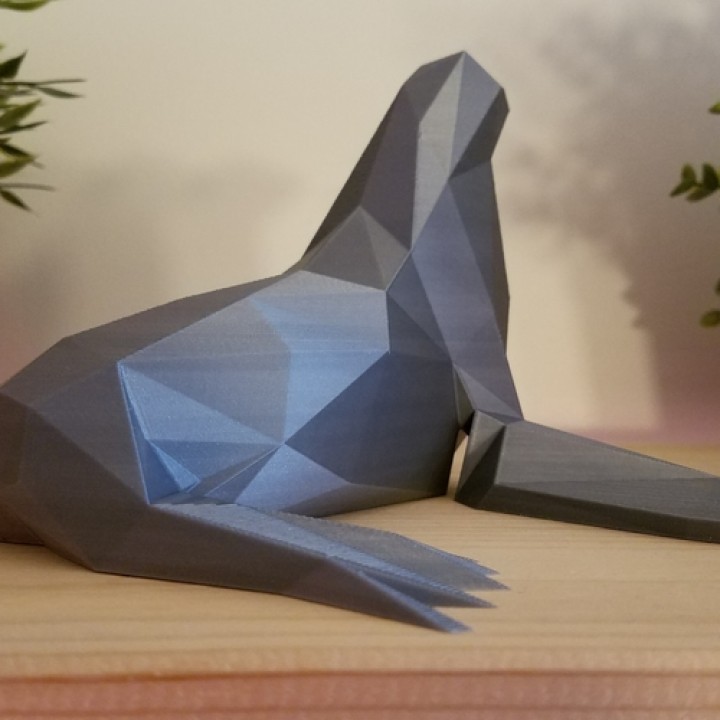 Low Poly Seal image